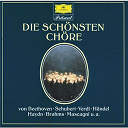 Anton Bruckner / Berliner H&auml;ndel-Chor / Charles Gounod / Franz Schubert / George Frideric Handel / Georges Bizet / Giuseppe Verdi / G&uuml;nther Arndt / Jean-S&eacute;bastien Bach / Johannes Brahms / Joseph Haydn / Ludwig Van Beethoven / Pietro Mascagni / Ruggero Leoncavallo / Schnabel Joseph - Die sch&ouml;nsten ch&ouml;re