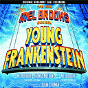 Andr&eacute;a Martin / Christopher Fitzgerald / Company / Ensemble / Fred Applegate / Male Ensemble / Megan Mullally / Roger Bart / Shuler Hensley / Sutton Foster - Young frankenstein / ost