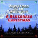 Cyndi Wheeler / Doc Watson / Mac Wiseman / Osborne Brothers / The Del Mccoury Band / The Groove Grass Boyz / Tim O'brien - Christmas on the mountain (a bluegrass christmas)