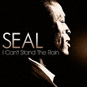 Seal - I can't stand the rain (int'l dmd)
