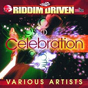 Bounty Killer / Da' Ville / Devonte / Elephant Man / Hawkeye / Kardinal Offishall / Kid Kurupt / Reagan / Riddim Driven / Route 76 / Sean Paul / T.o.k. / Tanto Metro / Vybz Kartel / Wayne Marshall / Wee-Kenz / Zumjay - Riddim driven: celebration