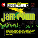 Buju Banton / Capleton / Ce'cile / Chezidek / Ginger / Jah Cure / Jigsy King / Junior Kelly / Lutan Fyah / Morgan Heritage / Perfect / Pinchers / Ras Shiloh / Strat Don / Tony Curtis - Riddim driven: jam down