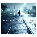 Pat Metheny - What's it all about