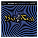 Big & Rich - Horse of a different color