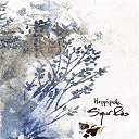 Sigur R&oacute;s - Hopp&iacute;polla
