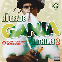 Billy Boyo / Charlie Chaplin / Chuck Fenda / Eek A Mouse / Jacob Miller / Jah T / Johnny Osbourne / Luciano / Michael Palmer / Morgan Heritage / Mykal Rose / Ranking Joe / Sizzla / Sugar Minott / The Mighty Diamonds / Vybz Kartel / Ward 21 / Warrior King - Hi grade ganja anthems vol. 2