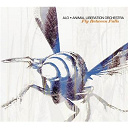 Alo - Fly between falls