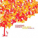Counting Crows - Films about ghosts (the best of counting crows)