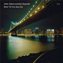John Abercrombie - Wait till you see her