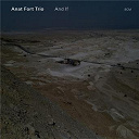 Anat Fort Trio - And if