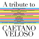Caetano Veloso - A tribute to caetano veloso