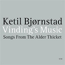 Claude Debussy / Fr&eacute;d&eacute;ric Chopin / Ketil Bj&oslash;rnstad / Ludwig Van Beethoven / Maurice Ravel / Samuel Barber / Serge Rachmaninov / W.a. Mozart - Songs from the alder thicket