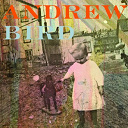 Andrew Bird - Eyeoneye