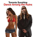 4 Strings / Armand Van Helden / Armin Van Buuren / Motorcycle / Nrc / Stunt / Tiesto / Timo Maas / Tommie Sunshine - Dance among the ruins
