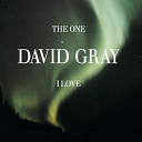 David Gray - The one i love