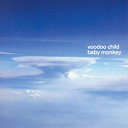 Voodoo Child - Baby monkey