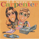 4 Non Blondes / American Music Club / Babes In Toyland / Bettie Serveert / Cracker / Dishwalla / Grant Lee Buffalo / Johnette Napolitano / Marc Moreland / Matthew Sweet / Redd Kross / Sheryl Crow / Shonen Knife / Sonic Youth / The Cranberries - If i were a carpenter