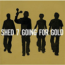 Shed Seven - Going for gold