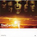 The Cardigan / The Cardigans - gran turismo