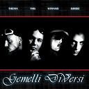 Gemelli Diversi - Gemelli diversi