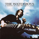 The Waterboys - A rock in the weary land