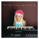 Olle Ljungstr&ouml;m - Syntheziser