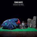 The Young Knives - Dyed in the wool