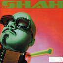 Dj Shah - The album