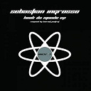 Sebastian Ingrosso - Hook da mode ep
