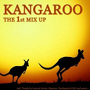 A / Cali / Lowcut Arrow / M (Mathieu Chedid) / Mon / Paulussen / Sozonov - Kangaroo - the 1st mix up