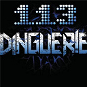 113 - Dinguerie