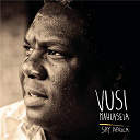 Vusi Mahlasela - Say africa