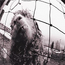 Pearl Jam - Vs. expanded edition (3 bonus tracks)