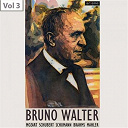 Bruno Walter / Irmgard Seefried / London George / The New York Philharmonic Orchestra / Westminster Choir - Bruno walter, vol. 3