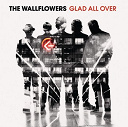 The Wallflowers - Glad all over