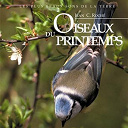 Jean C Roche - Oiseaux du printemps