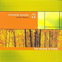 Aur&eacute;lien Baguerre / Ayuthya / Damhlaic / Daniel Finot / Dominique Langham / Dominique Verdan / Jean-Luc Nest / Laurent Dury / Mad Sheer Khan / Marc Dall'anese / Ricardo Delgado / Taralagatti Shivi / Thierry Noritop / Tony Quimbel / Vincent Baguerre / Vincent Bruley - The miracle of forest