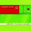 Laurent Dury - The miracle of minimalism