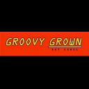 Aitor Ronda / Chering / Dj Cristiao / Djeep Rythms / Gaspar T / Groovydrums / Jazz Sigala / Jefone / Matt Krilert - The grown