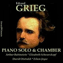 Arthur Rubinstein / David Oistrakh / Eileen Joyce / Elisabeth Schwarzkopf / Gerald Moore / Grant Johannesen / Grigory Ginzburg / Leonid Kogan / Vladimir Yampolsky / Walter Gieseking - Grieg vol. 3 - piano solo - chamber works