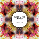Bobby Blunt / Cosmo Gets / Diger Rokwell / Dyl Thomas / James Ireland / Kit Pop / Lowaski / Naik / Raashan Ahmad / Rekab / Ta-Ku / Thinnen / Ylem - Paper chain sampler, vol. 1
