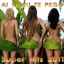 Brothers / Disco Fever / High School Music Band / Junta / Katy Tindemark / Krizia / Latin Band / Raudy / Roby Pagani / Roland - Ai se eu te pego (superhits 2011)
