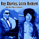 Bobby Day / Clarence "Frogman" Henry / Doris Day / Elvis Presley "The King" / Fats Domino / Gene Vincent / Harry Belafonte / Huey Smith, The Clowns / Jerry Lee Lewis / Johnny Cash / Lary Williams / Little Richard / Mose Allison / Peter Kraus / Ray Charles / Richard Berry / Robert Mitchum / Roy Orbison / The Blue Caps / The Pharaohs / The Satellites / The Teen Kings / Wanda Jackson / Warren Smith - Ray charles,little richard and more music treasures