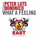 Peter Luts - What a feeling (feat. dominico)