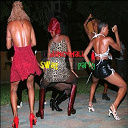 Danthology / Dj Greg / Fuckly / Kalash / Krys / Mighty Ki La / Panik-J / Rik / Sael / Samx / Stra&iuml;ka D / Tiwony / Tronixx / Valley / Young Chang Mc - Dancehall swag party