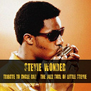 Stevie Wonder - Tribute to uncle ray / the jazz soul of little stevie