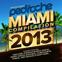 Blackbull / Chriswell / Dani Vars / Gonzalo Shaggy Garcia / Jason Rivas / Jay Deep, Shiyam / Jose Vazquez / Miki Hernandez, Miguel H / Noboa / Randy Garcia / Ruben Moran / Ruben Zurita - Pedroche miami compilation 2013