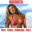 David Fiallo / El Lince / Heavy Rosario / Joselito / Julio Fias / Mariela / Marlenis / Nelson - Bachata collection, vol. 2 (best exitos)