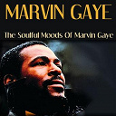 Marvin Gaye - Marvin gaye: the soulful moods of marvin gaye