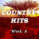 Don Gibson / Doug Stone / Exile / Freddy Fender / Holly Dune / Janie Fricke / Jeanne Pruett / Juice Newton / Mark Wills / Merle Haggard / Mickey Gilley / Pam Tillis / Restless Heart / T G Sheppard / T. Graham Brown - Country hits, vol. 1